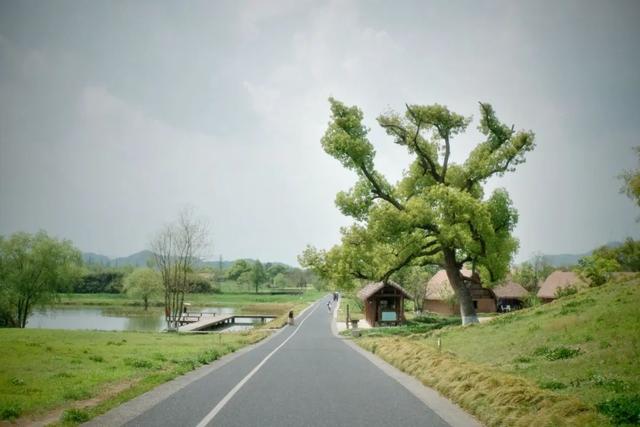 地理冷知识——良渚