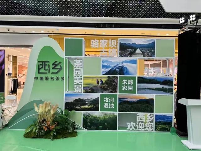 西乡县“茶香漫长安·秋趣游西乡”文旅主题推介活动在西安举行