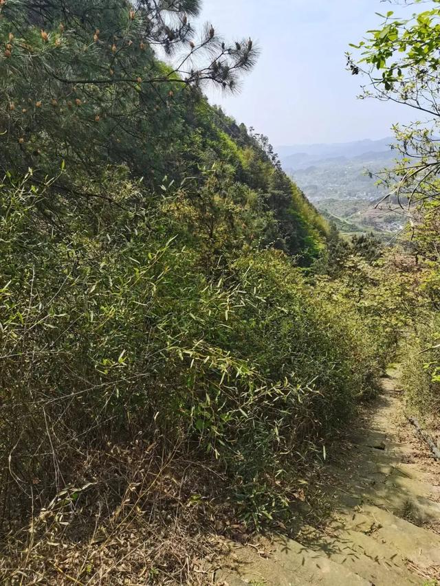 重庆北碚有一座濒临消失的古寨，寨主竟曾是美国总统罗斯福的同学