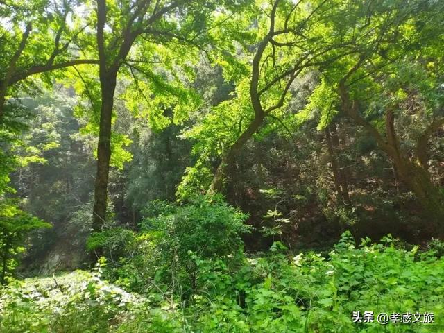 孝感登山大会最全登山攻略！附路线图→