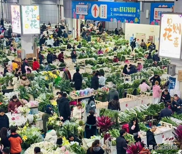 “铁路+文旅”！这些A级景区有优惠！