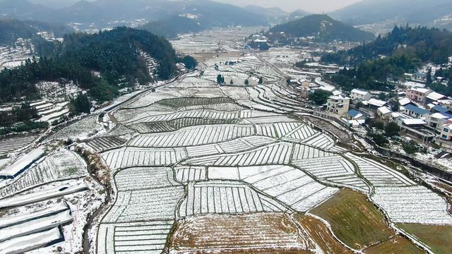 “四九”马上结束，五九还会冷多久？啥时候能回暖？答案来了