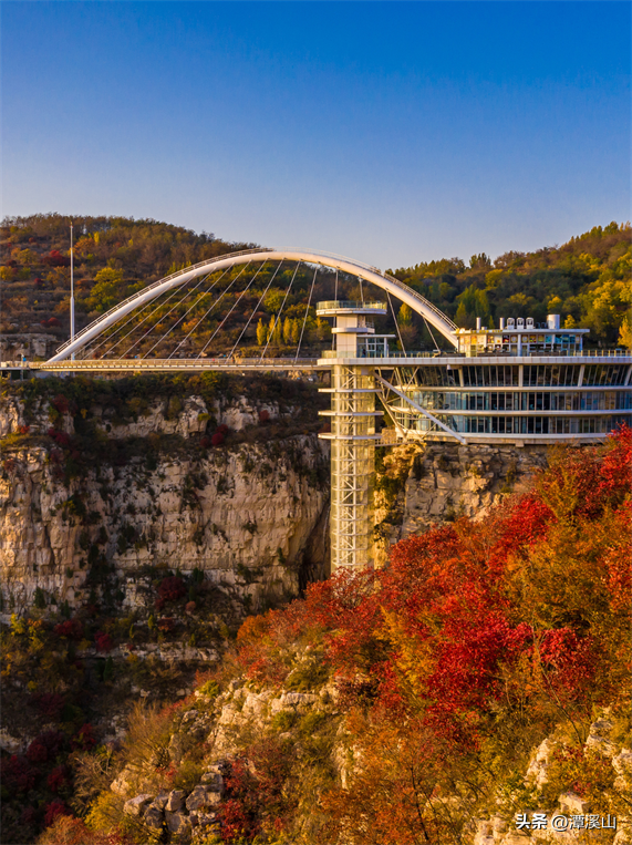 淄博红叶进入全盛期，漫山遍野醉人红