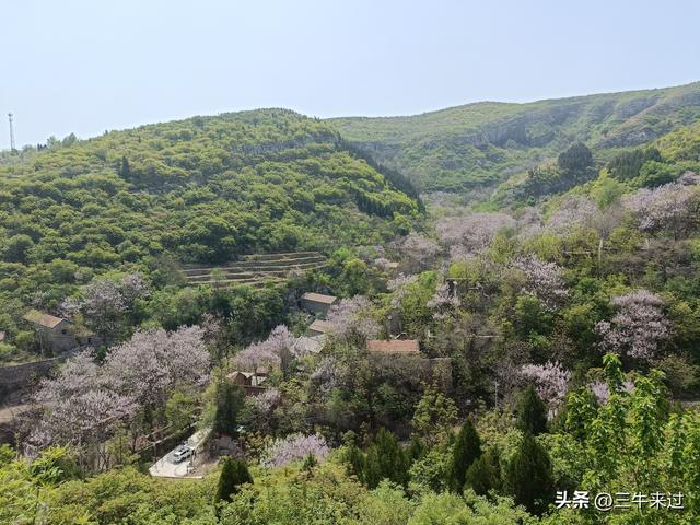 无为在歧路，2025之经行