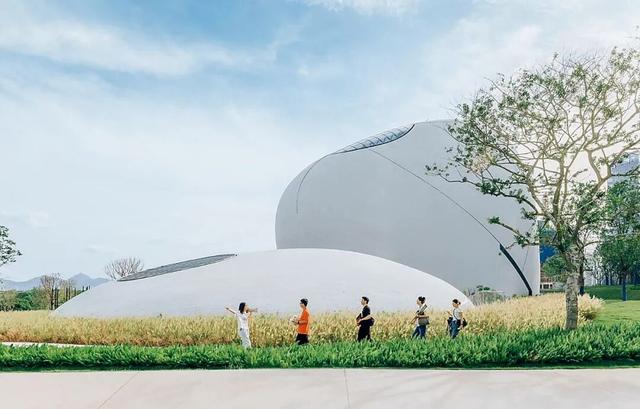 南山爆火打卡点！出片率100%！