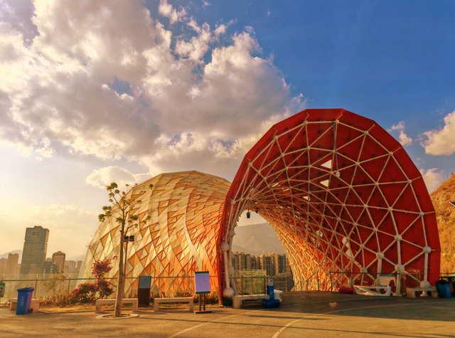 动车直达！来这座以花命名的城市，过个暖冬！