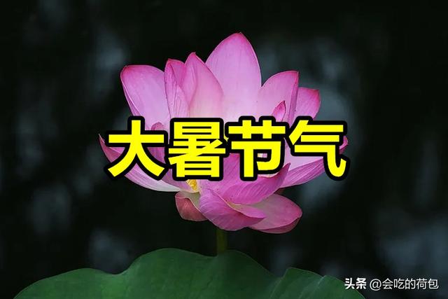 “大暑在头，八月桑拿；大暑在尾，八月穿袄”，今年的大暑在哪？