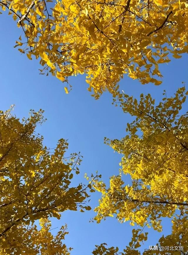 秋天的溢泉湖流光溢彩，将浪漫与温馨装满