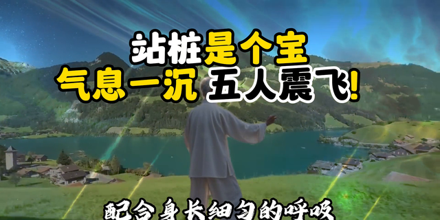 站桩是个宝，气息一沉，五人振飞