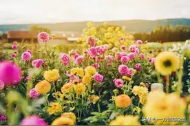 女人身体的这8个地方被男人亲吻过，可以完全托付给他了图片