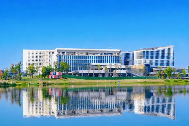 冬崃｜阳光与候鸟齐飞！泉水湖给你双重惊喜～