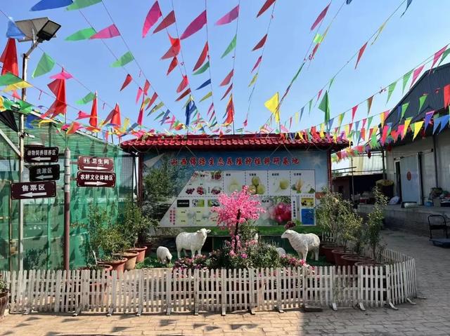 太原市小店区：国庆采摘“果”然嗨 来小店收获你的专属甜蜜！
