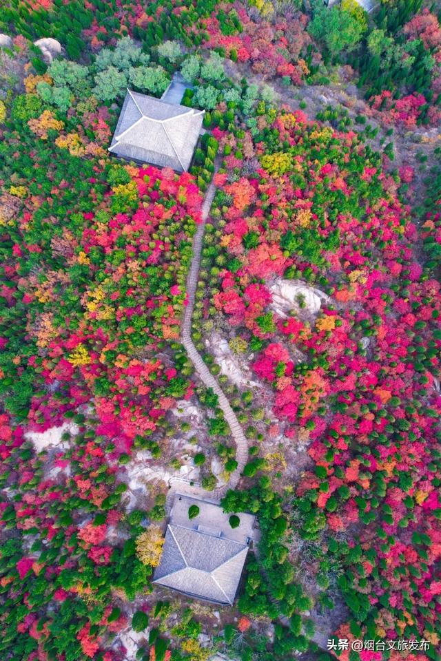 【乐游烟台】提前码住！烟台“红色浪潮”即将返场！