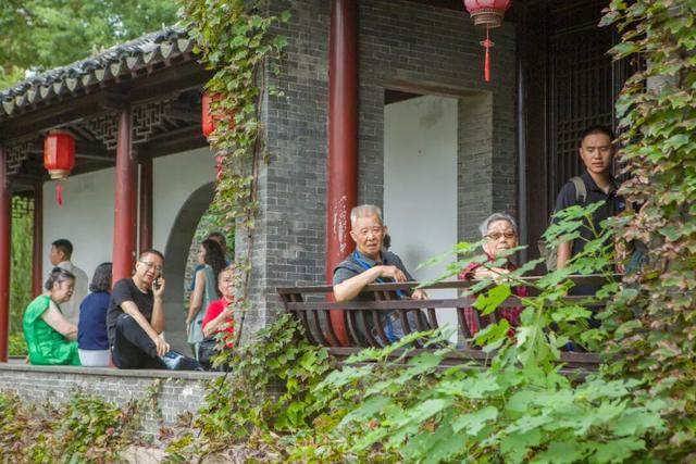 12万+人次赴约！如皋这个景区太燃了