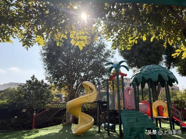 奉浦校园初冬美景大赏，你家娃的学校藏着这样的冬日浪漫