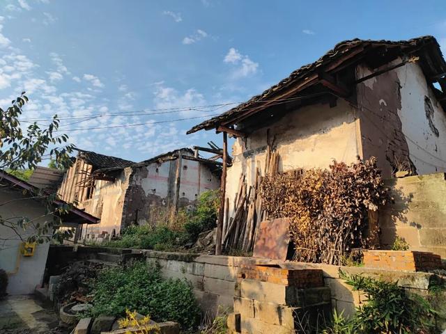 重庆巴南山中藏有一座荒废寺庙，破败不堪，门口石狮守护几百年