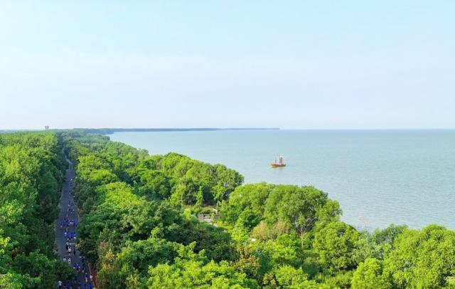 淮安洪泽区：大运河百里画廊建设成果丰硕