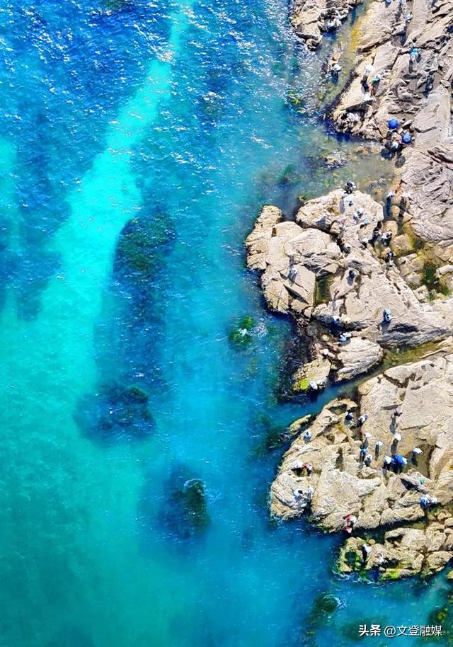 威海七月惊现 “玻璃海”