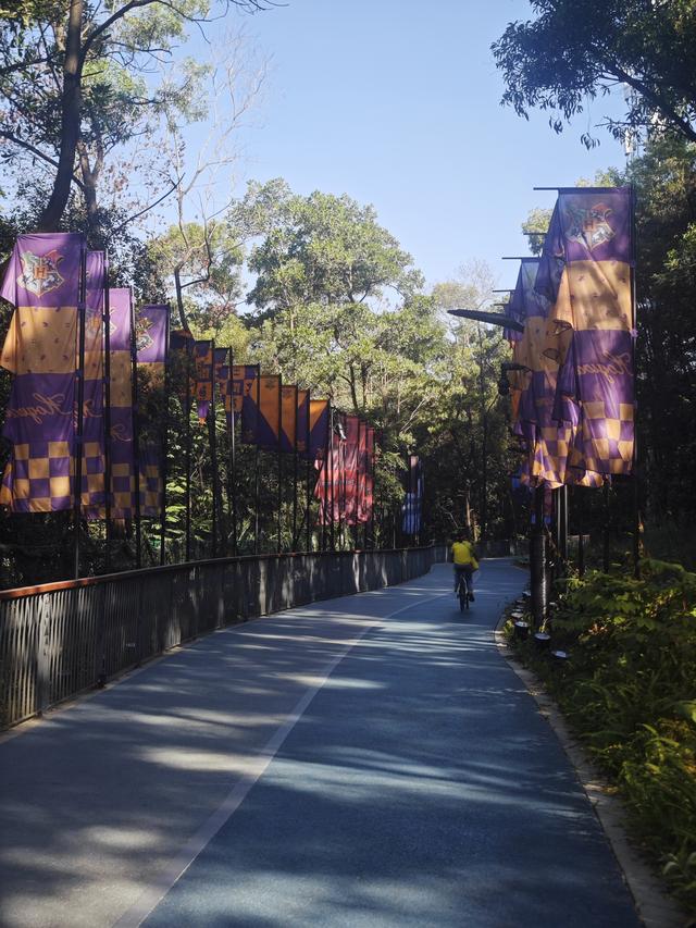 龙华新“骑”点，奔向2026骑行随拍1129