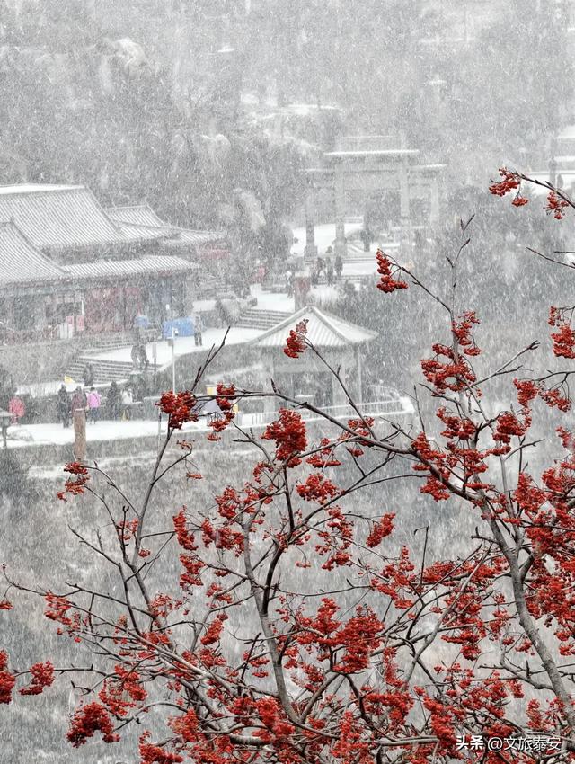 2025初雪到来!泰山限定版皮肤已上线,真是美到犯规啦!