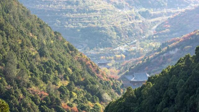 太山的方便面