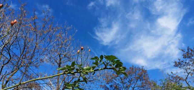 寻找长安石爷：为见第七尊石爷，在两个村遭遇惊险