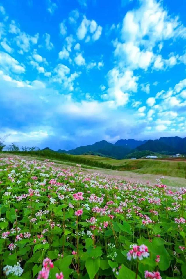 这届年轻人，为何偏爱“深度体验游”？