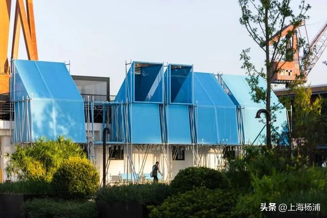 强推！这三条Citywalk路线带你畅游复兴岛和杨浦滨江