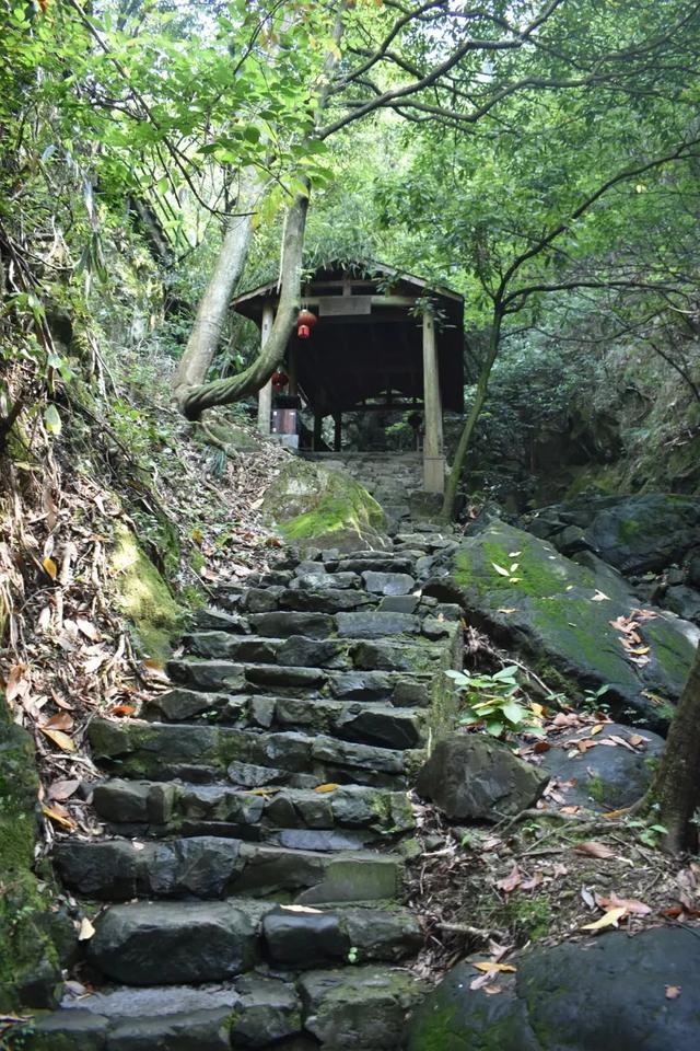余杭这个村，上榜“杭州十大避暑胜地”！