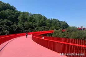 深圳徒步｜天使妈妈独自一人徒步大顶岭绿道+虹桥步道图片