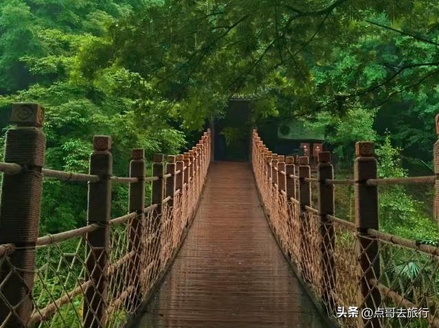 成都崇州徒步首选，被低估的森林路线，全部免费，风景超级惊艳！