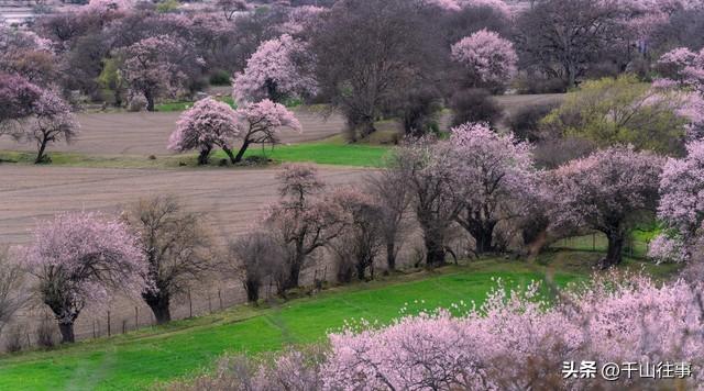别等失去才懂珍惜！那段陪我骑行的时光，成了我余生不敢触碰的疤