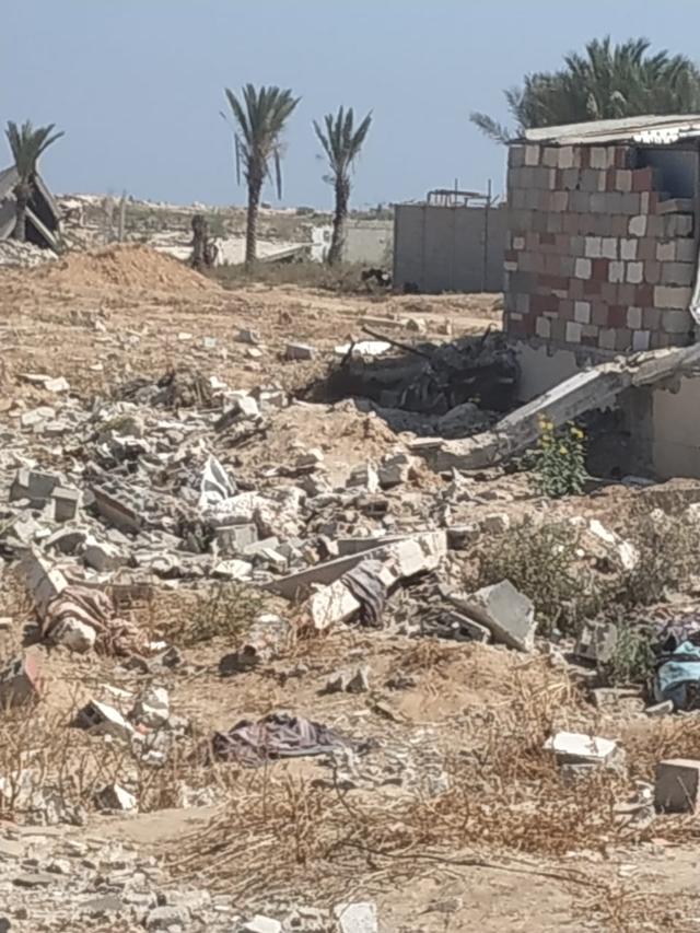 一个加沙家庭的循环日常：在枪声与废墟中，寻找食物与水