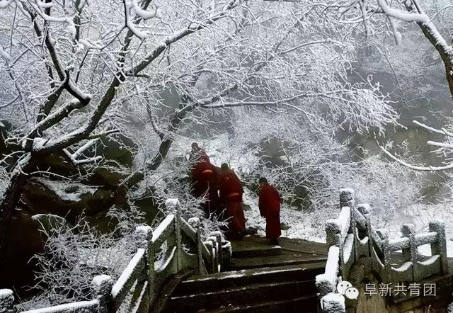 对不起！阜新，向全中国道歉！