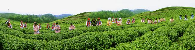 夏未远，冬已至：——在季节里行吟水城