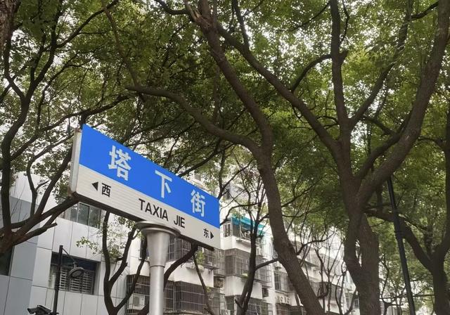 在这座太湖畔的浙北小城，我能不重样的吃上一整天