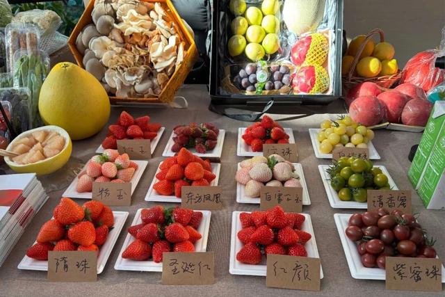 来逛超大冬日花果游园会，2026北京兰花文化嘉年华在昌平开幕 | 动态