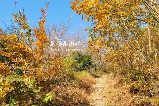 浙江宁波这两条古道堪称黄金组合，景色比油画还要美，游玩正当时