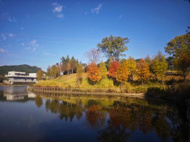 从丽康路穿荔园溪谷至西丽湖绿道骑行随拍