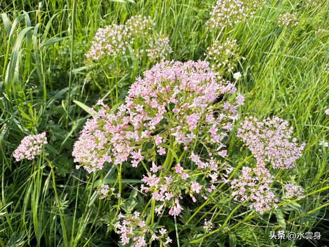 向北而行：北京自驾沽源、多伦、太仆寺旗的草原牧歌（2）沽源篇