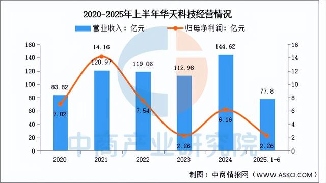 2025年中国先进封装行业市场前景预测研究报告（简版）
