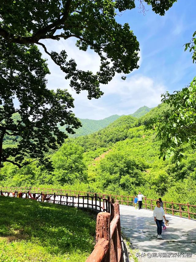 三伏天避暑新体验，这几处宝藏景点凉气十足！