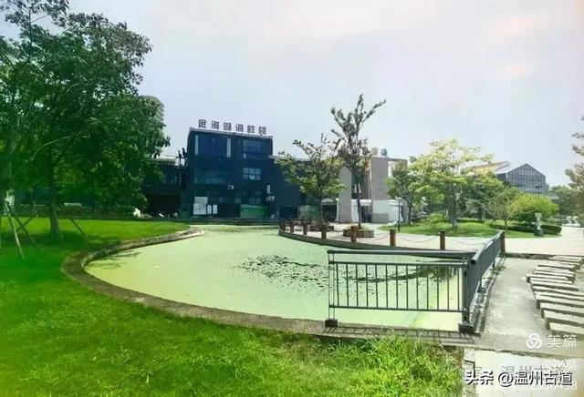 这个集休闲娱乐、运动和生态功能于一体的大型公园你可去过？