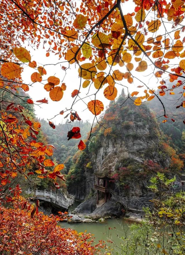 秋染鸡峰山