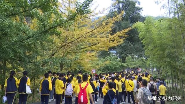 广东韶关南雄帽子峰银杏黄了！银杏染秋“圈粉”大湾区