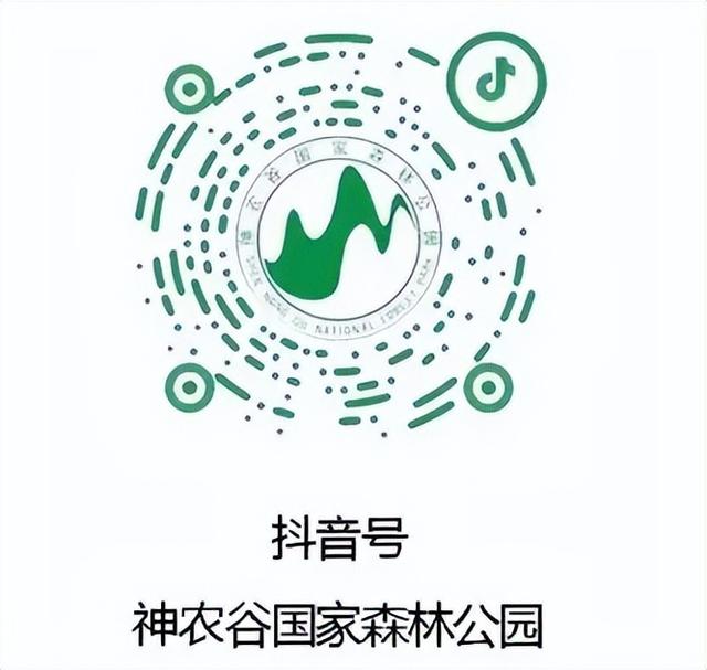 这个没有信号的山谷，是我今年去过最“爽”的地方