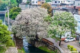 海量曝光！福州再上新！图片