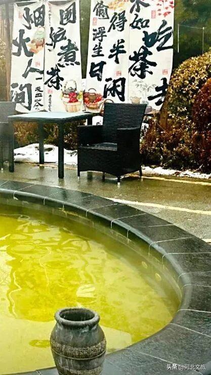 免费观看！零门槛邂逅衡水湖秋日极致浪漫