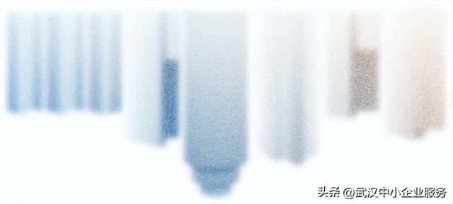 聚力专业赋能 助力营商环境优化——江汉区举办第二期中小企业服务专员素质提升培训活动成功举办