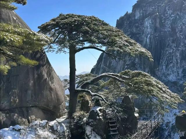 杨迪实名安利！炎炎夏日，来黄山“云”赏雪景降降温